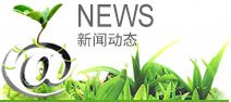 下一页 / 尾页 / 首页